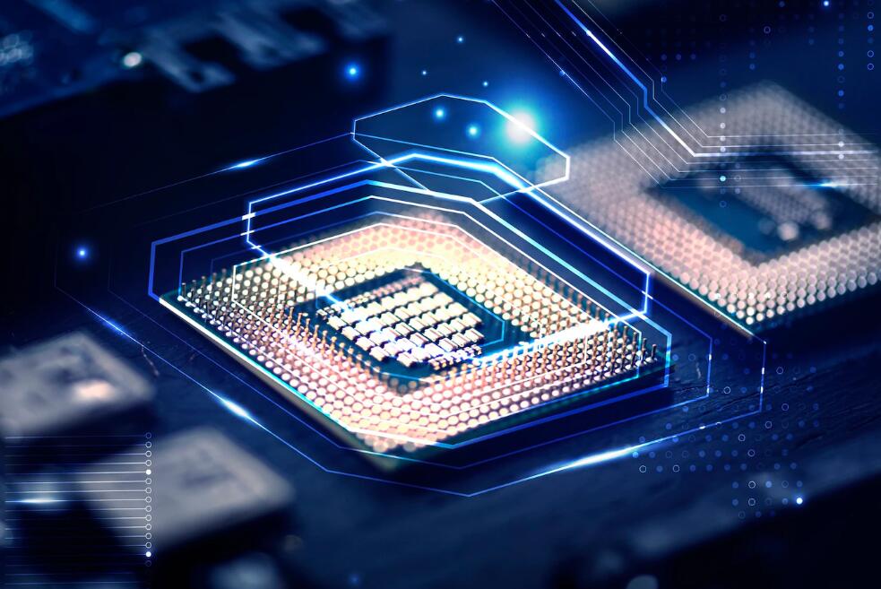 为什么卫生纸会生虫子 卫生巾有虫